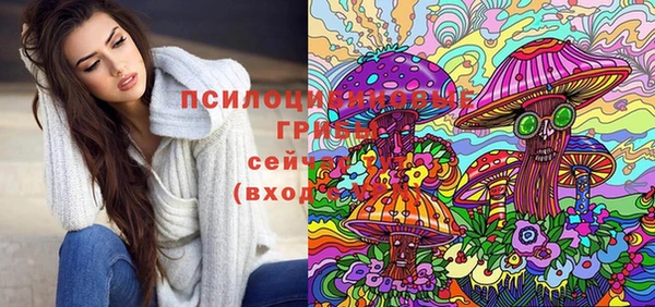 спиды Алексин