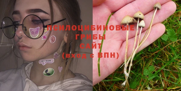 метадон Алексеевка