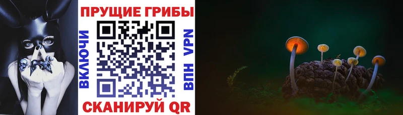 даркнет какой сайт  Клин  Галлюциногенные грибы MAGIC MUSHROOMS 